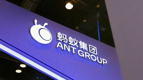 李楠与“蚂蚁的救赎” 从征信服务看金融科技前路何方